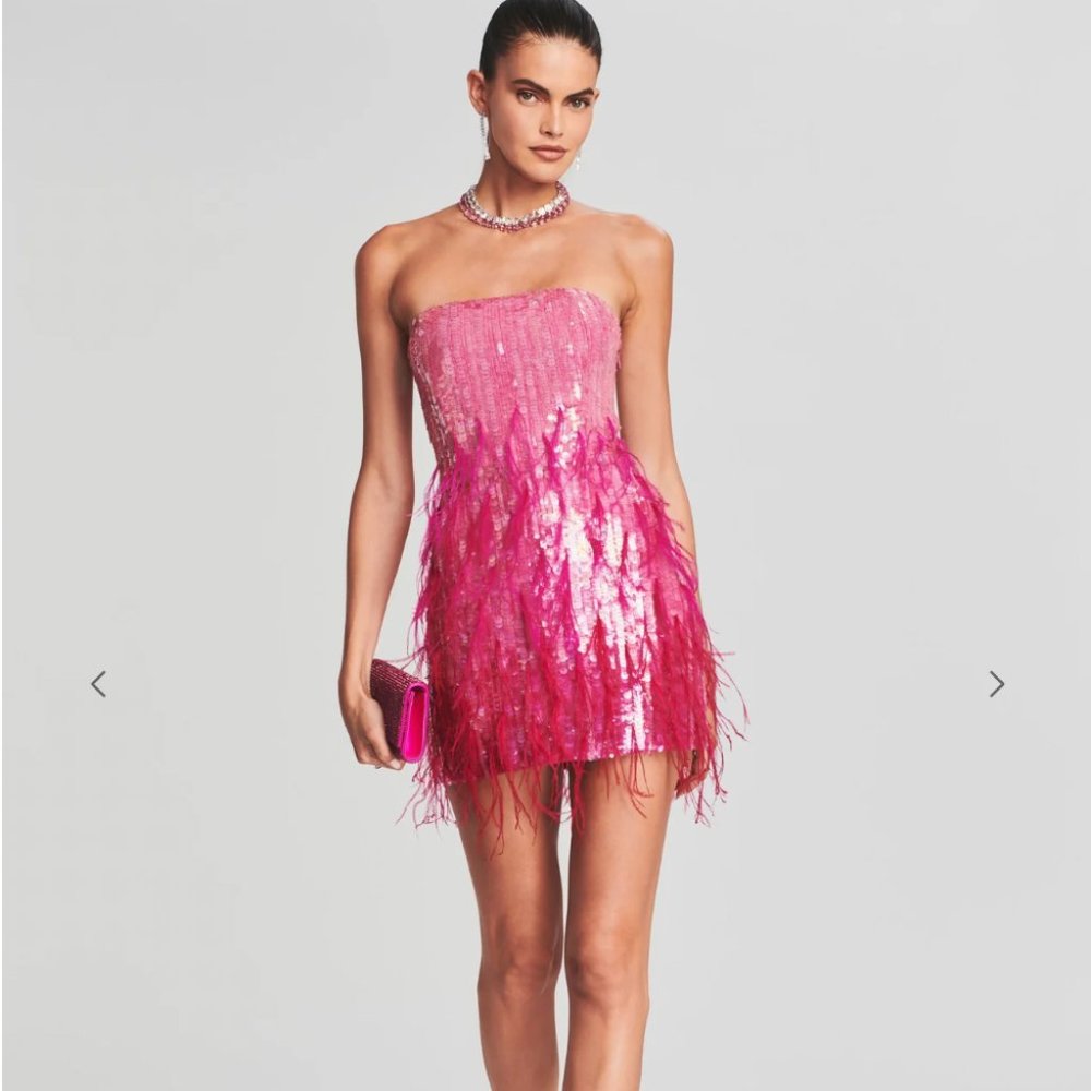 Retrofete Anastasia Sequin Feather Dress Fuchsia XS